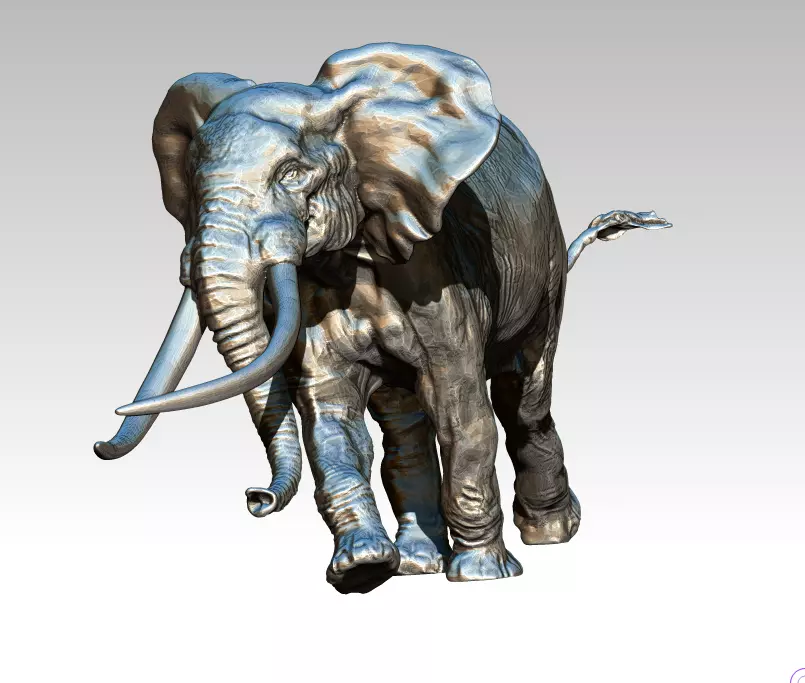 Elephant with long tusks 3D print model_0