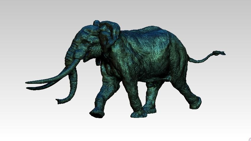 Elephant with long tusks 3D print model_4