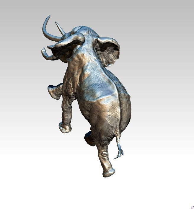 Elephant with long tusks 3D print model_3