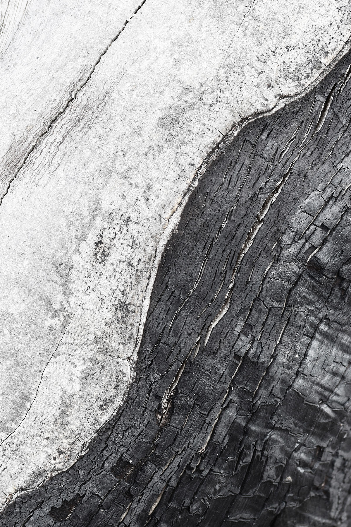 Scandinavian Posters 3D model_5