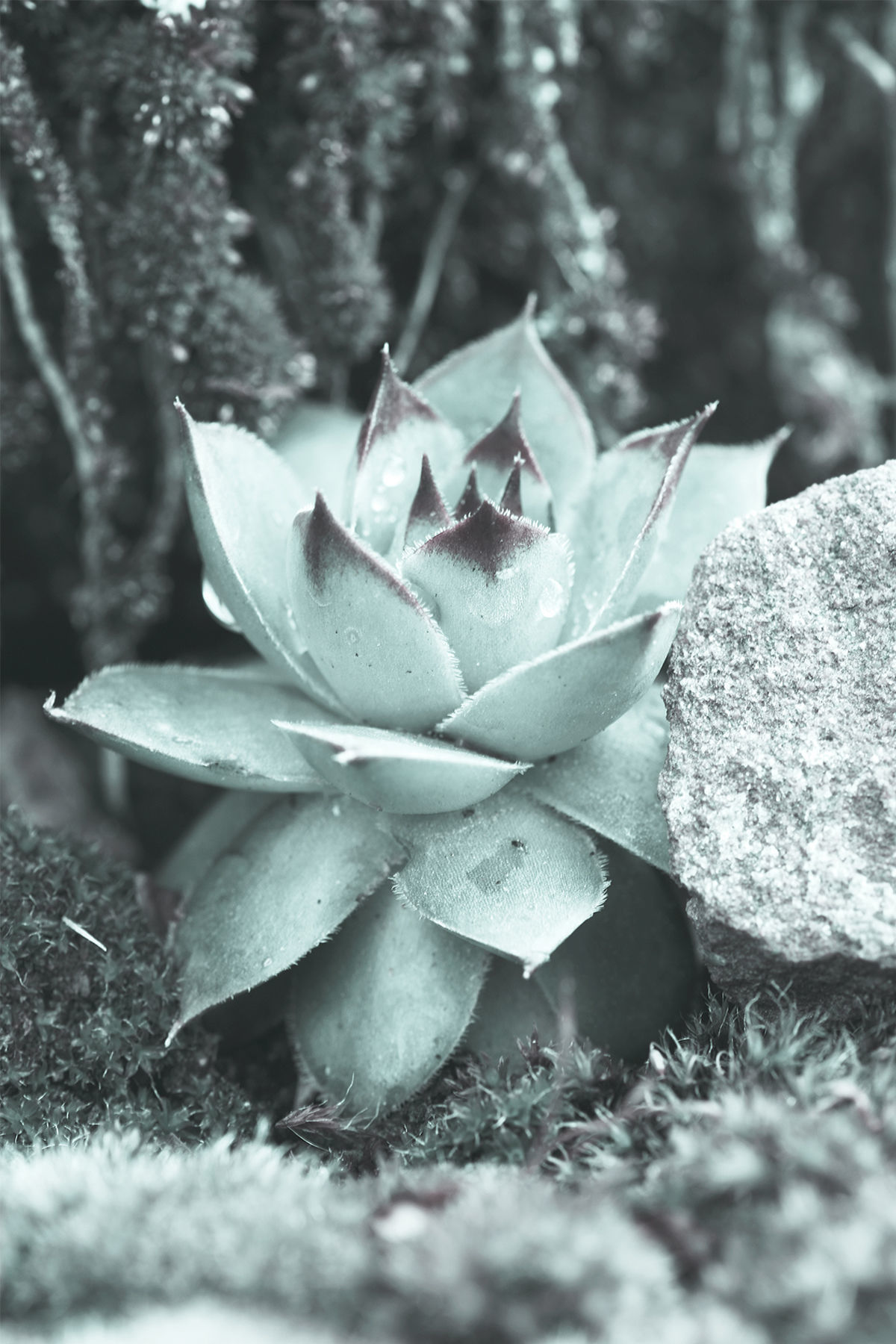 Scandinavian Posters 3D model_8