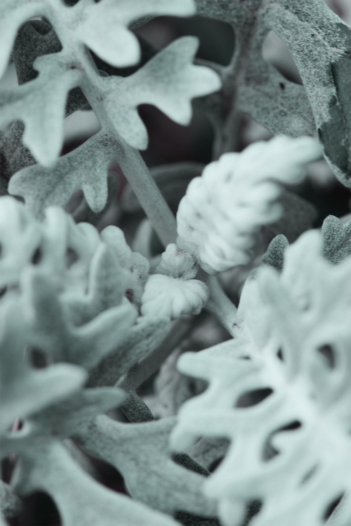 Scandinavian Posters 3D model_9