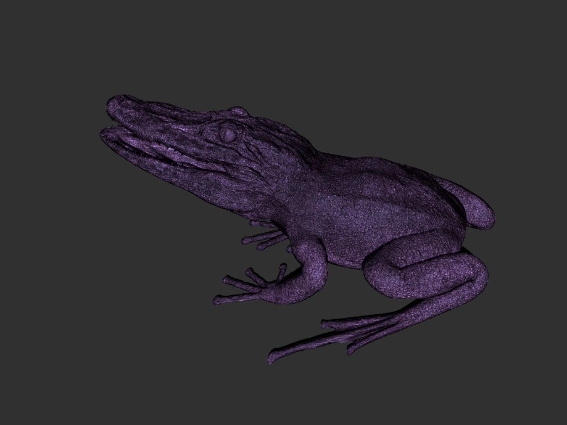 Froligator - Alifrog Hybrid Mashup 3D print model_5