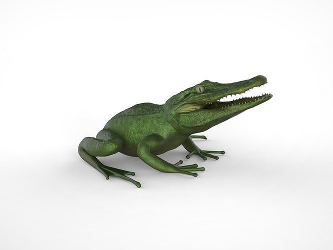 Froligator - Alifrog Hybrid Mashup 3D print model