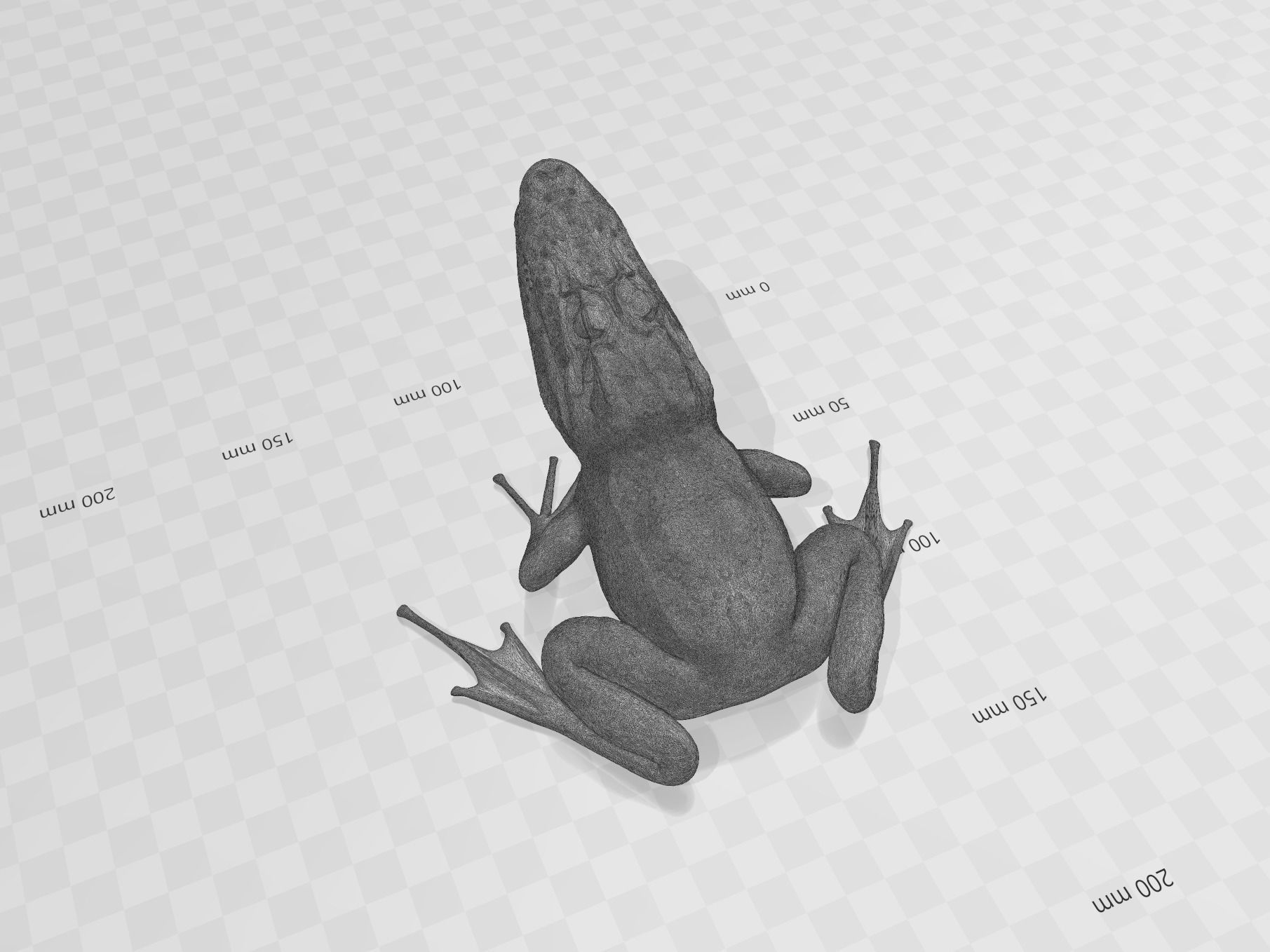 Froligator - Alifrog Hybrid Mashup 3D print model_9