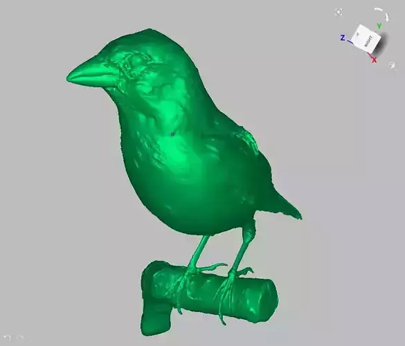High Accurate Real life European Sparrow  3D-Scan
