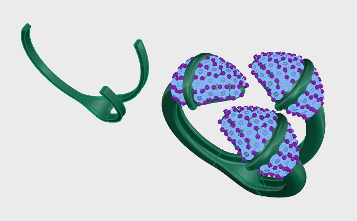 Tazzarine Diamond Ring Model 5 3D print model_6