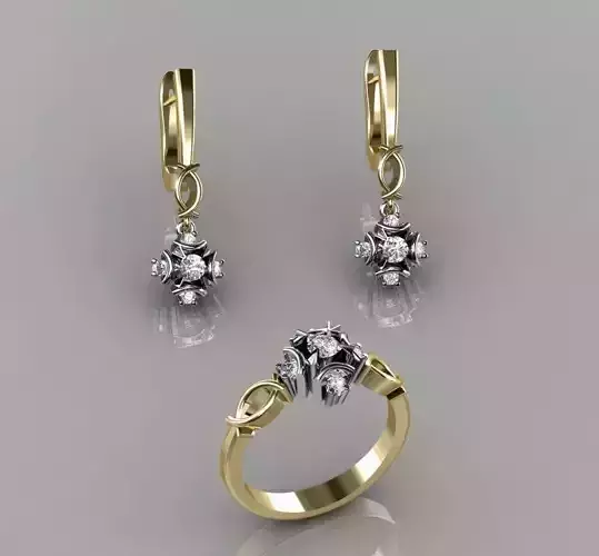 Ring and Earrings 30