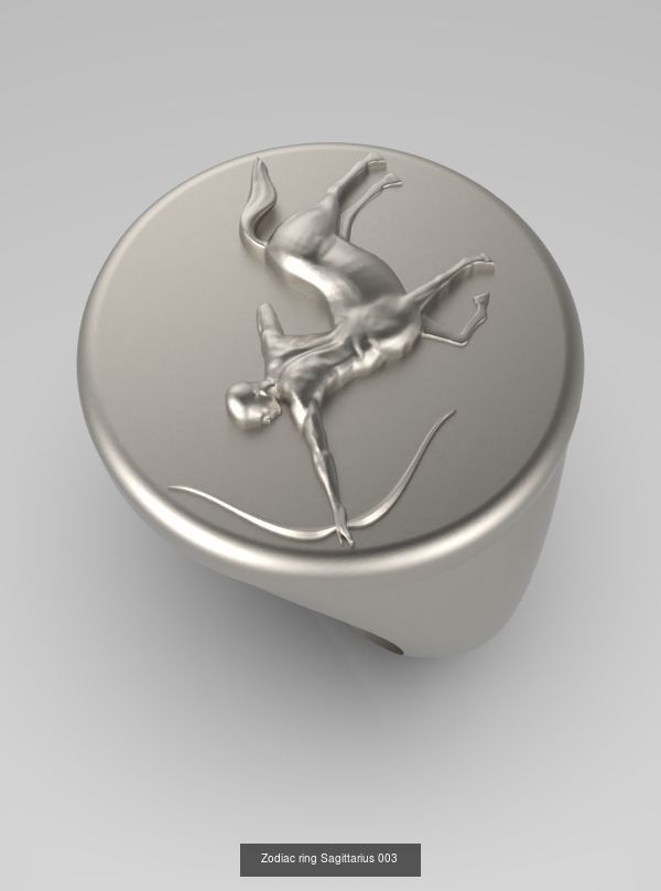 Zodiac Rings Collection 003 _4