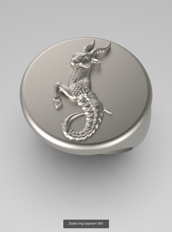 Zodiac Rings Collection 003 _9