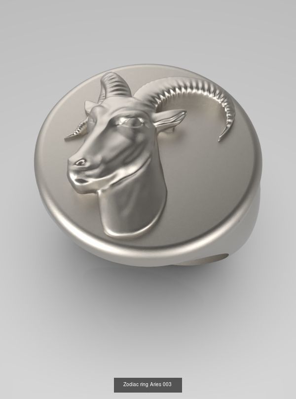 Zodiac Rings Collection 003 _11