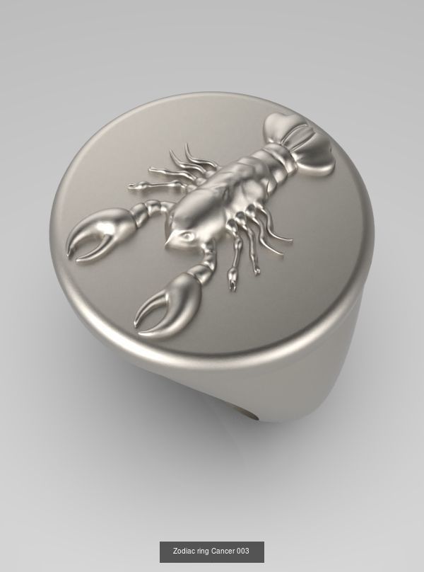 Zodiac Rings Collection 003 _10