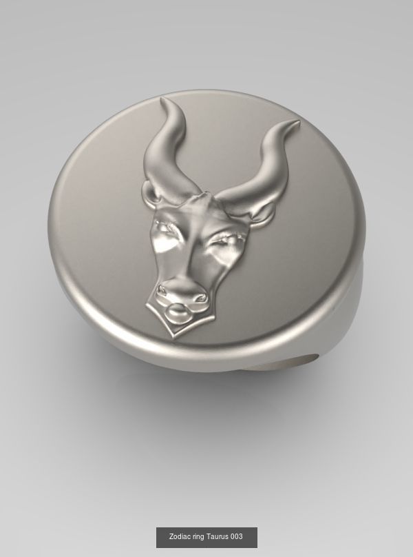 Zodiac Rings Collection 003 _2