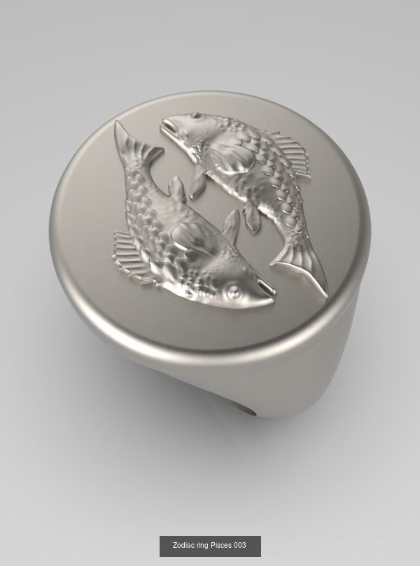 Zodiac Rings Collection 003 _5