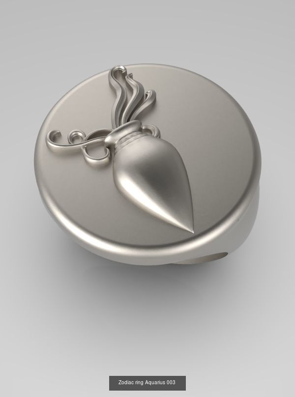 Zodiac Rings Collection 003 _12