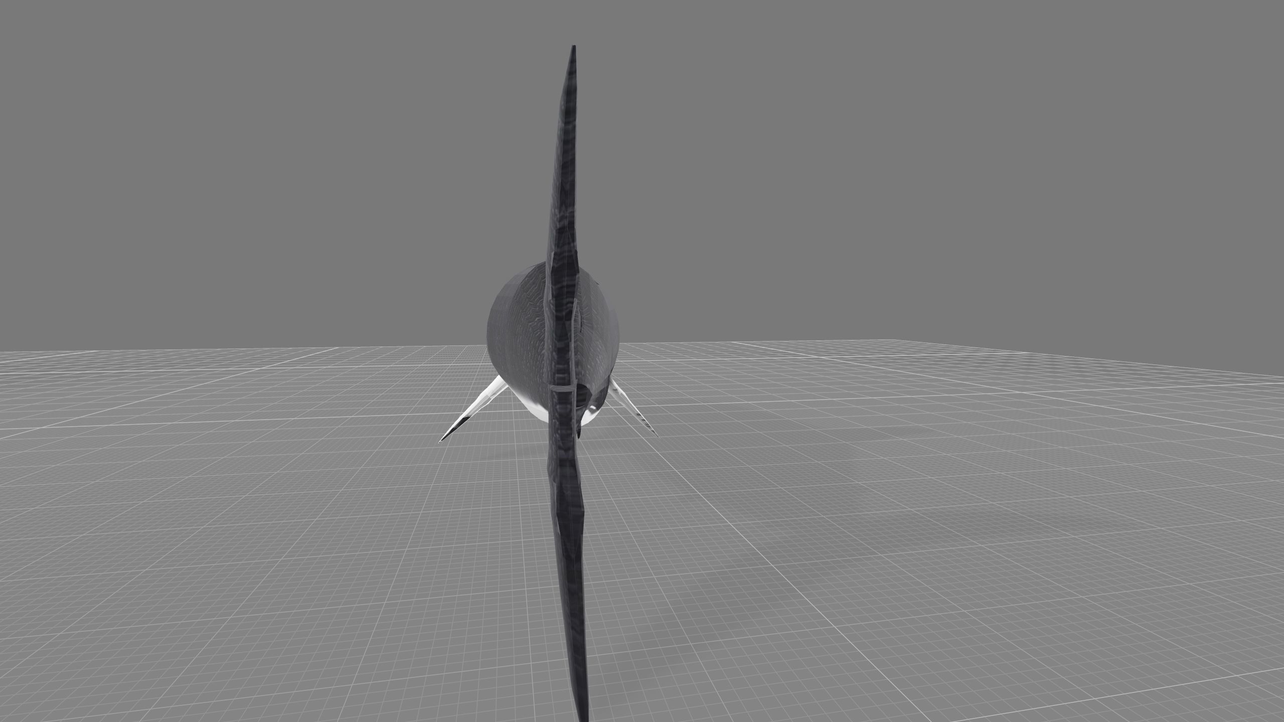 Animated Shark model Low-poly 3D model_3