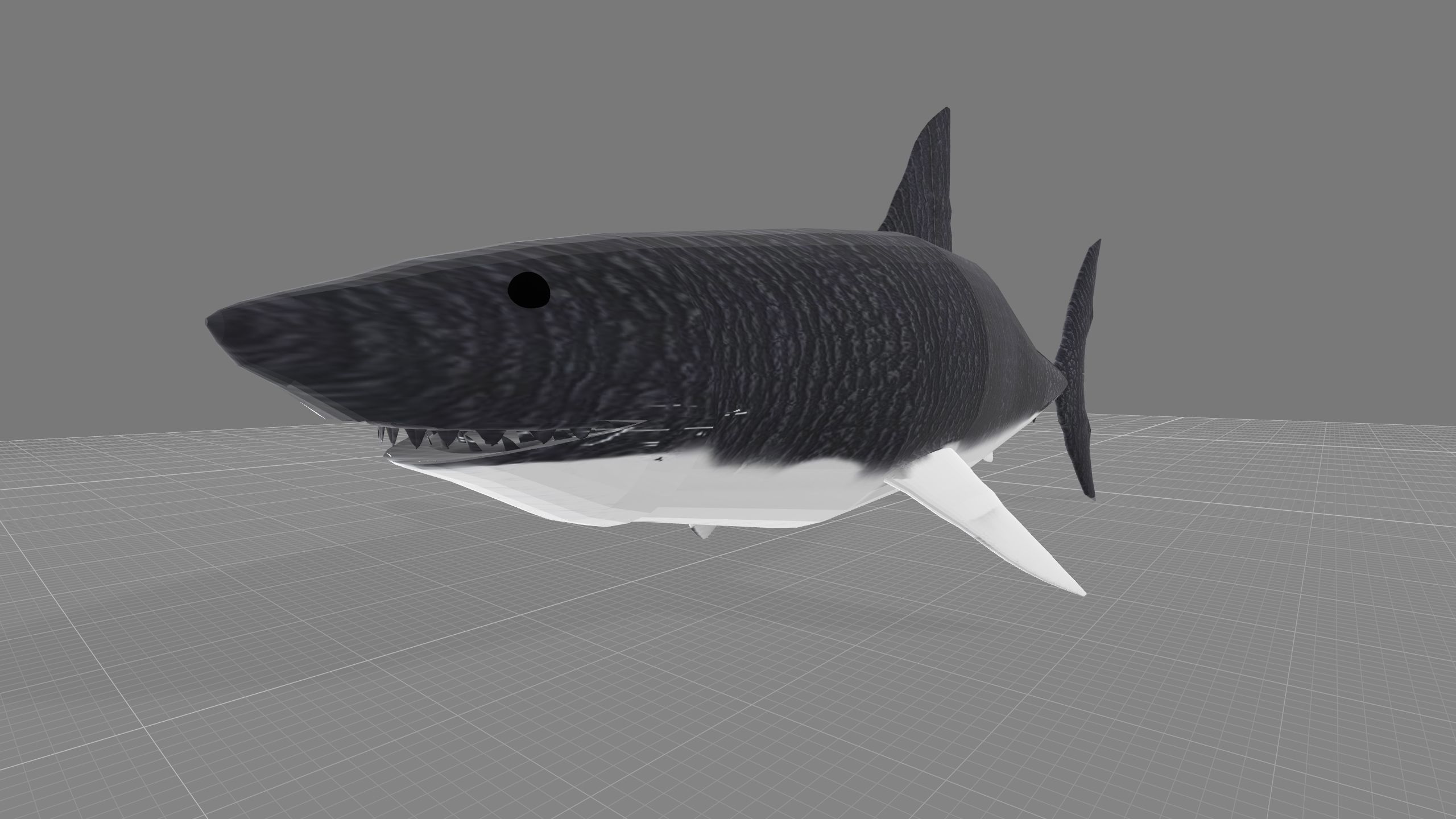 Animated Shark model Low-poly 3D model_1