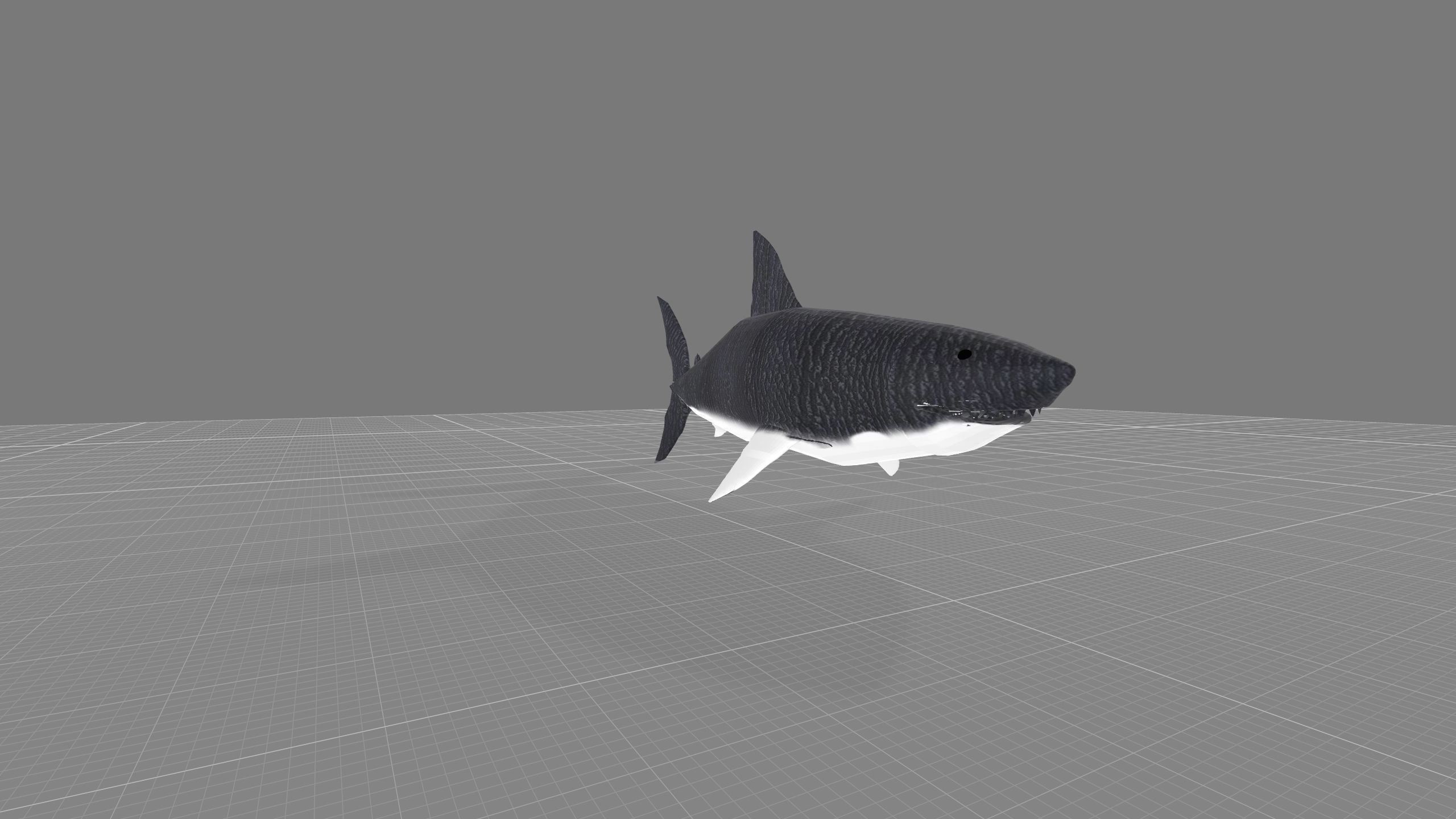 Animated Shark model Low-poly 3D model_4
