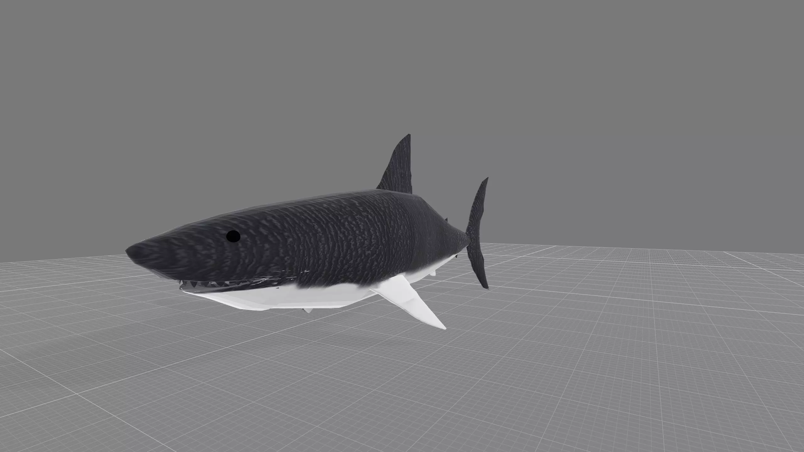 Animated Shark model Low-poly 3D model_0