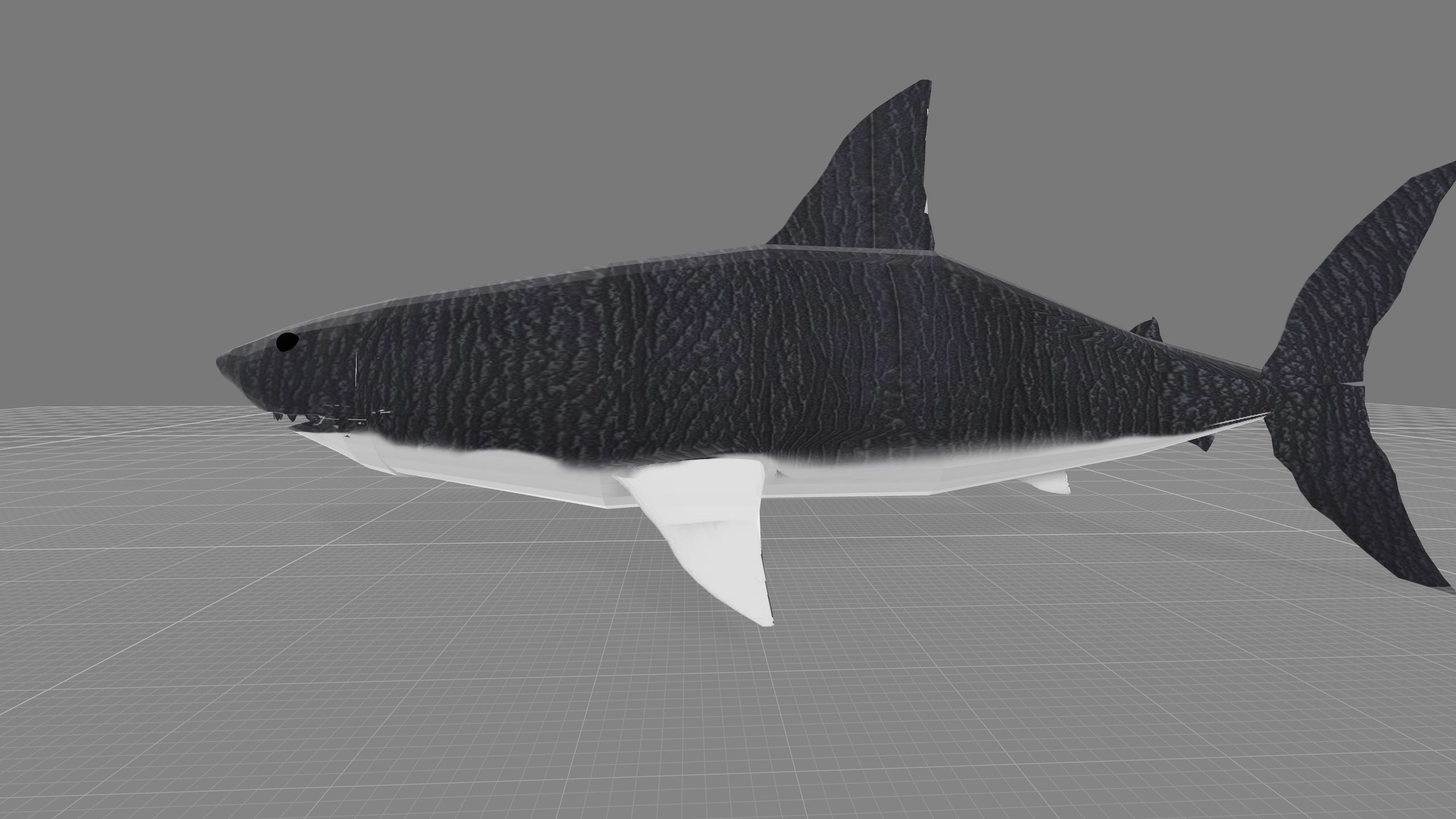 Animated Shark model Low-poly 3D model_2