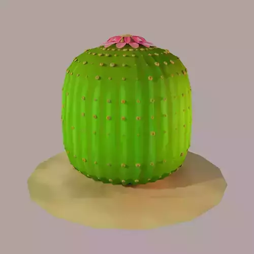Stylized Cactus Parodia Magnifica