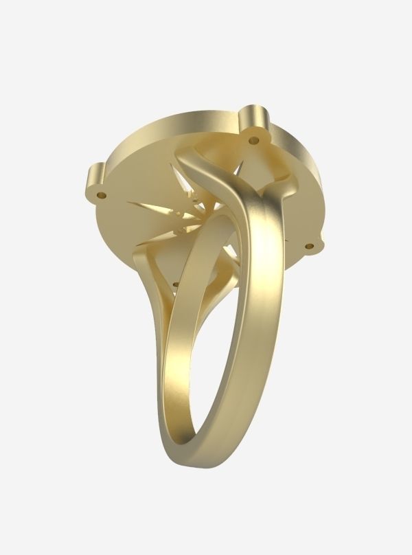 Zodiac Rings Collection _13