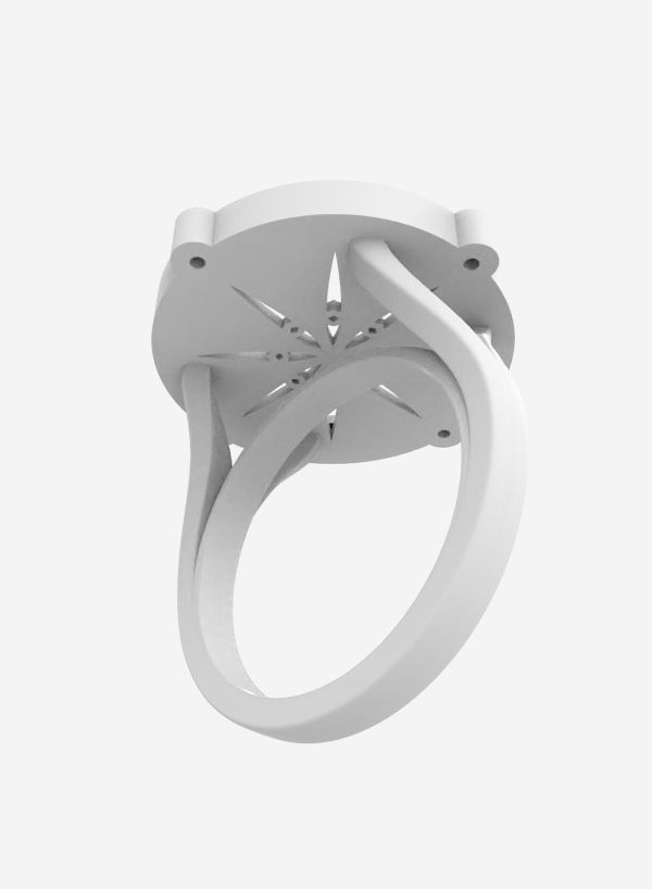 Zodiac Rings Collection _18