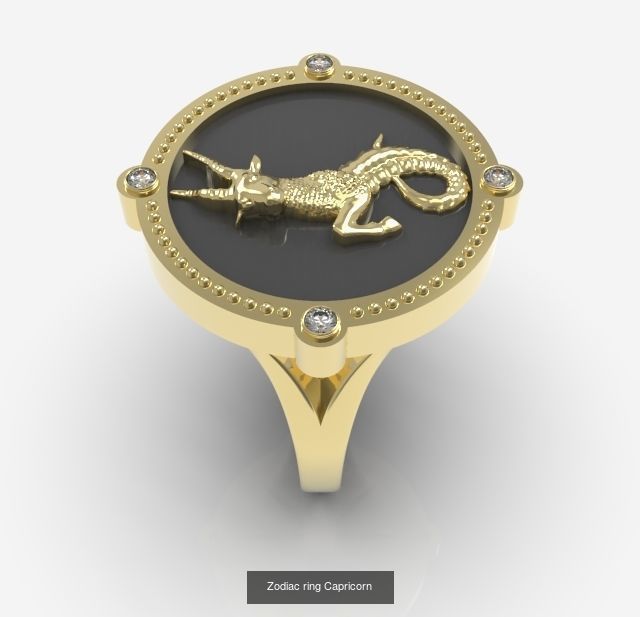 Zodiac Rings Collection _8