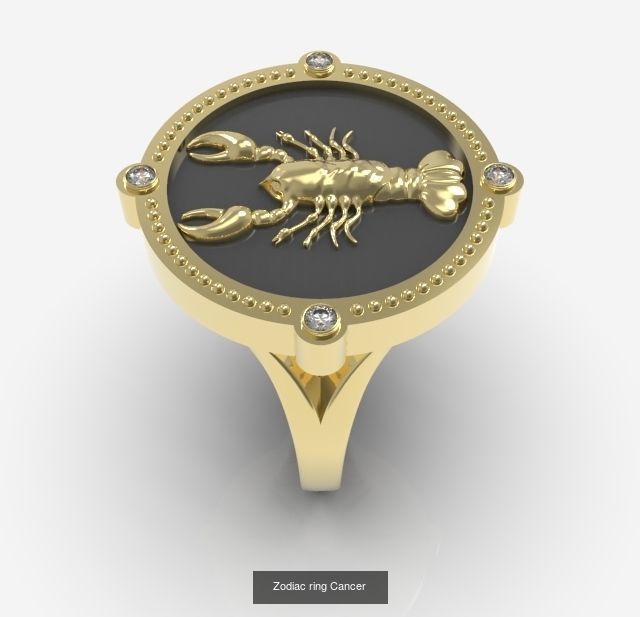 Zodiac Rings Collection _11