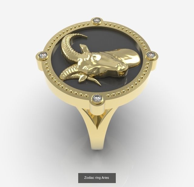 Zodiac Rings Collection _10