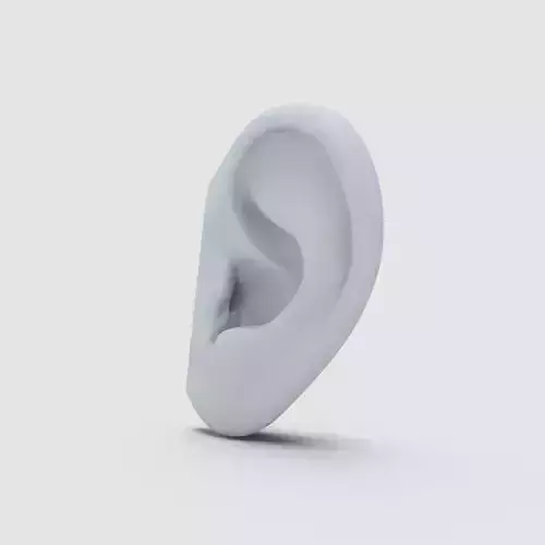 Ear Model