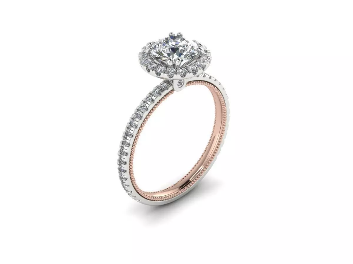 Ring 66 3D print model