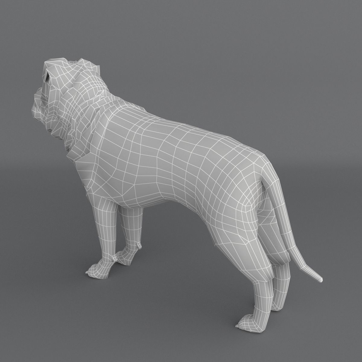  Ori Pei Dog 3D model_9
