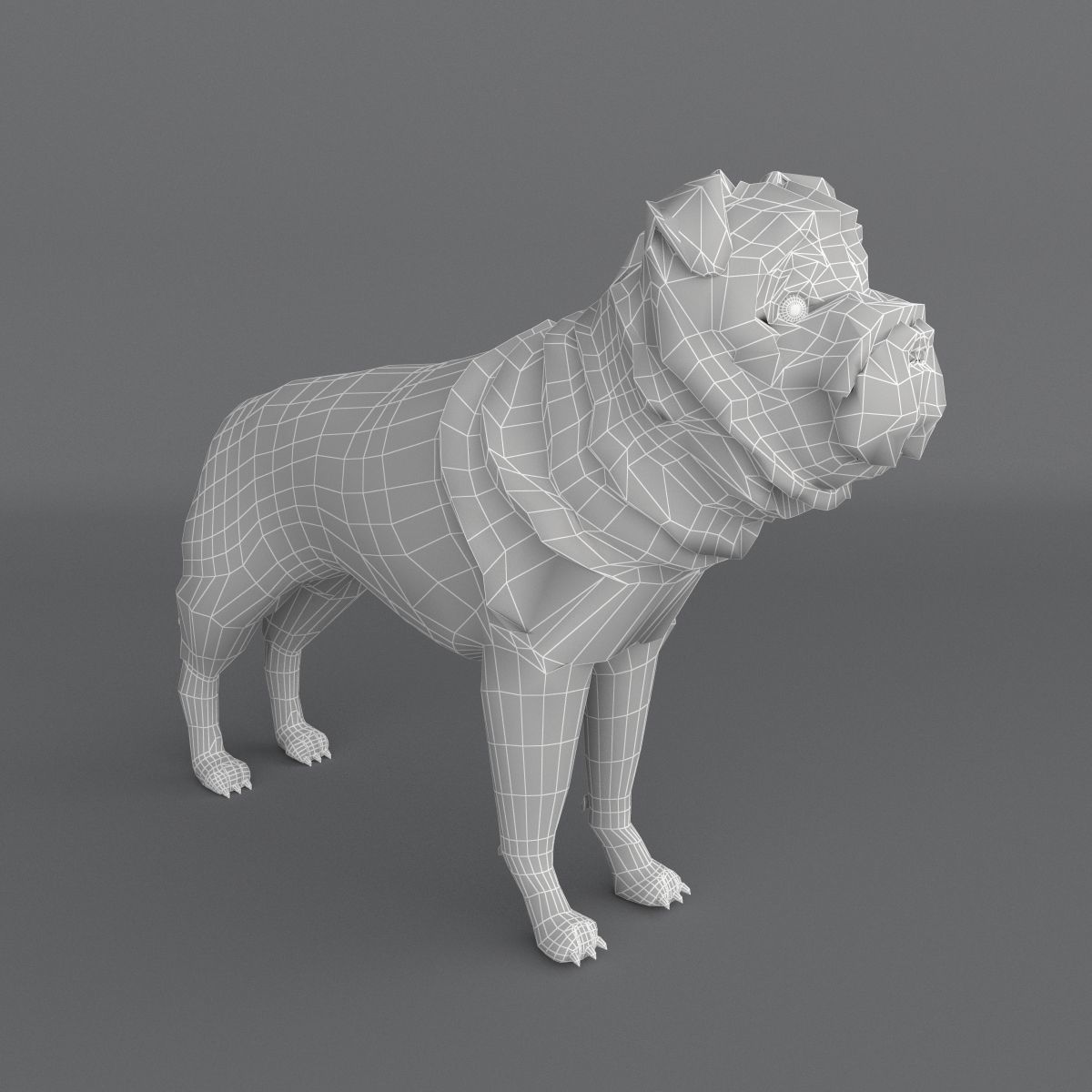  Ori Pei Dog 3D model_8