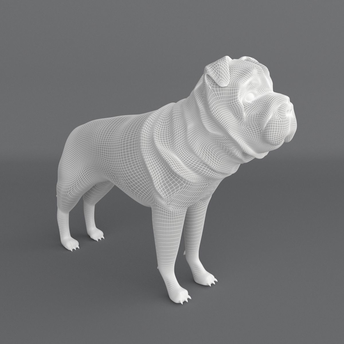  Ori Pei Dog 3D model_7