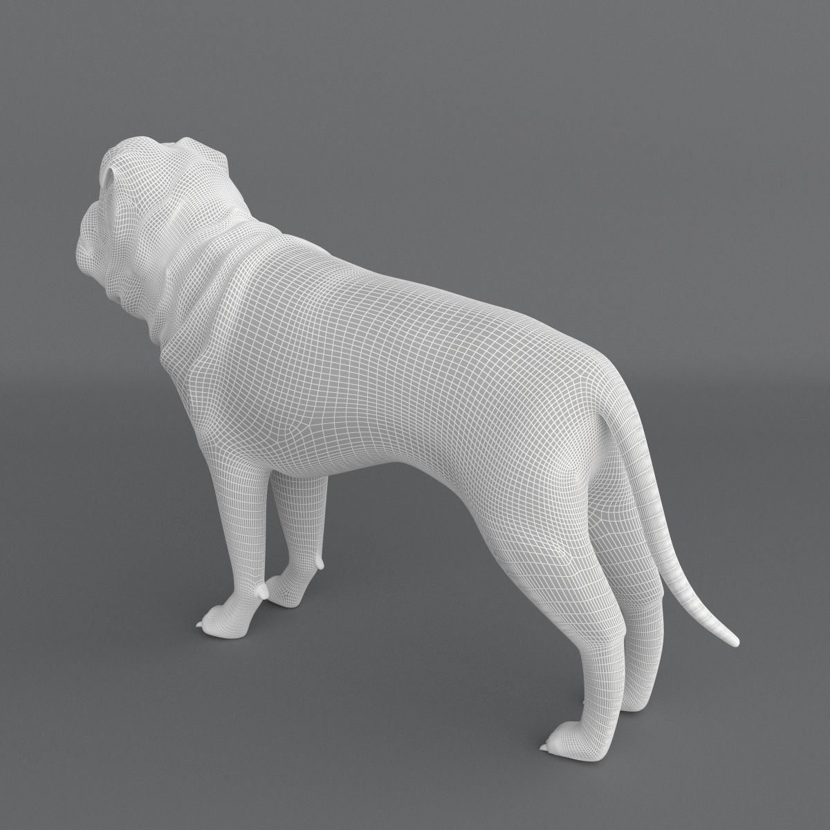  Ori Pei Dog 3D model_10