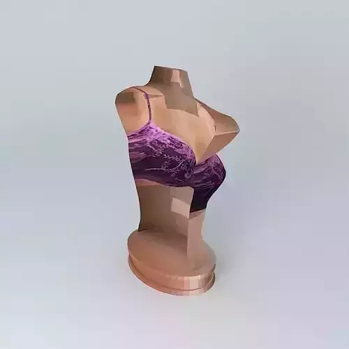 Bra Counter Stand