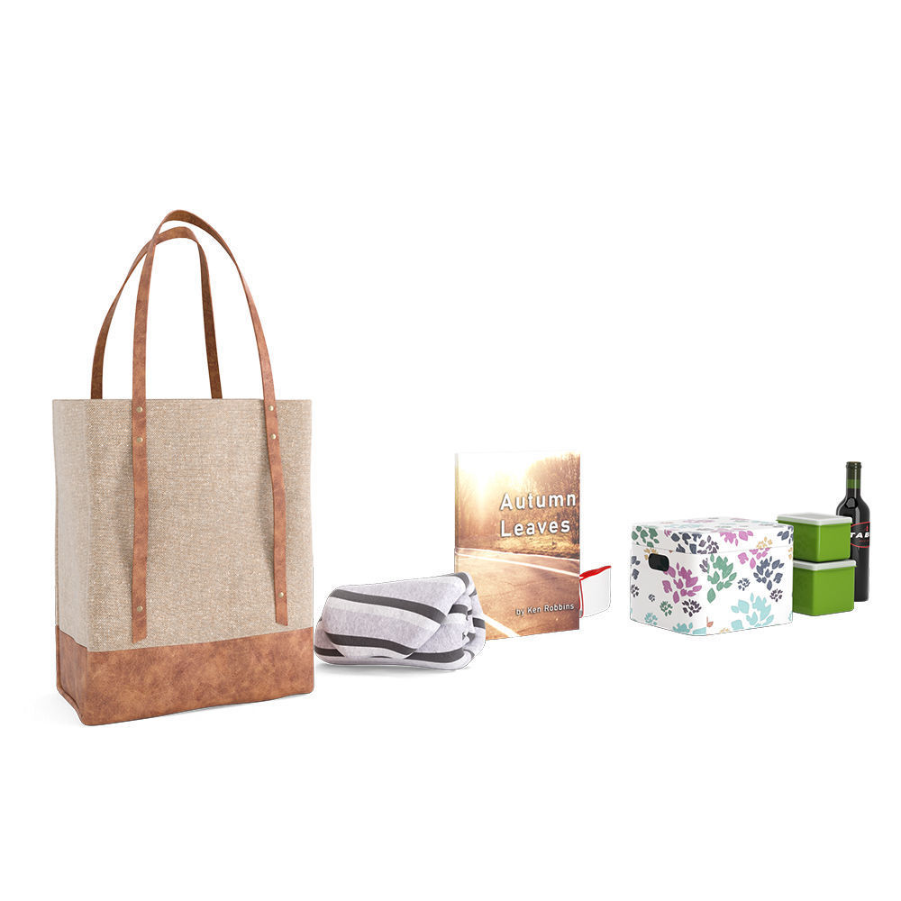 Picnic Bag 3D model_3