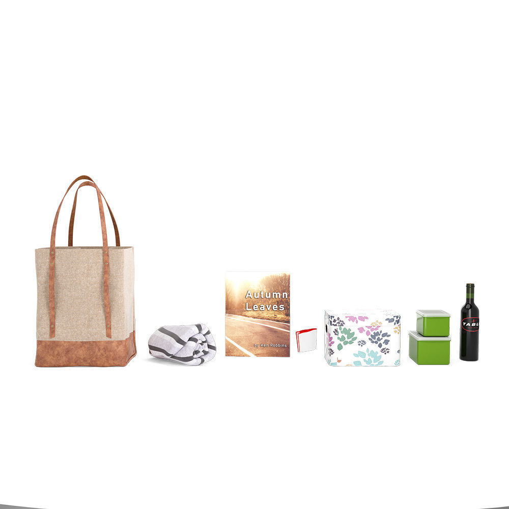 Picnic Bag 3D model_4