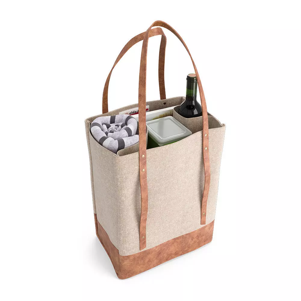 Picnic Bag 3D model_0