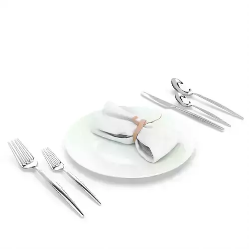 Silverware and Diningware set