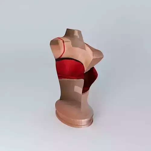 Bra Counter Stand