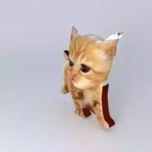 Kitten Tiddle Free 3D model