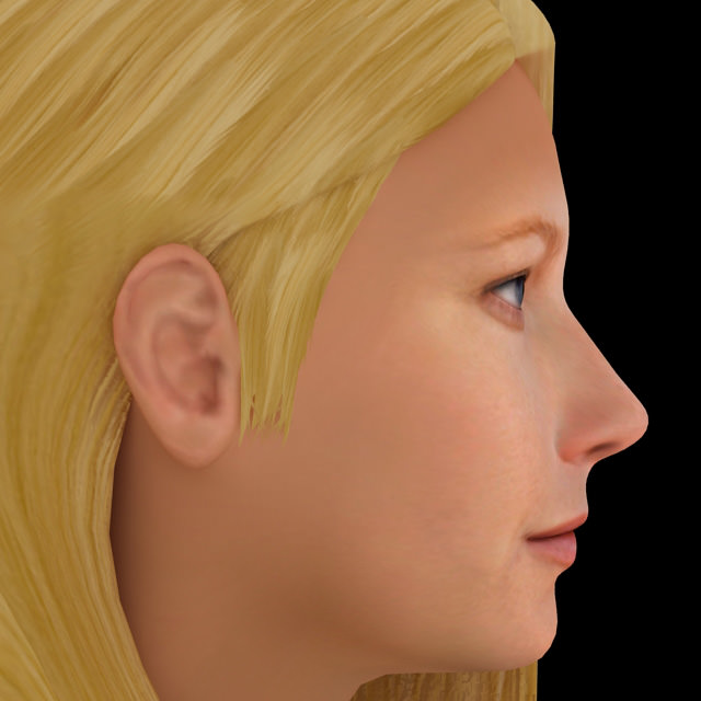 Gwyneth Paltrow hair 3D model_2