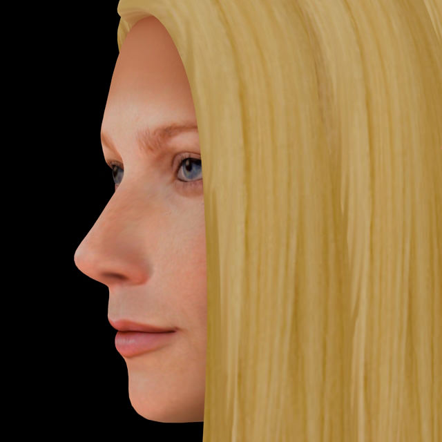 Gwyneth Paltrow hair 3D model_1