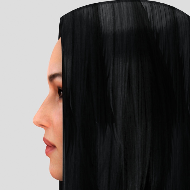Monica Bellucci hair 3D model_1