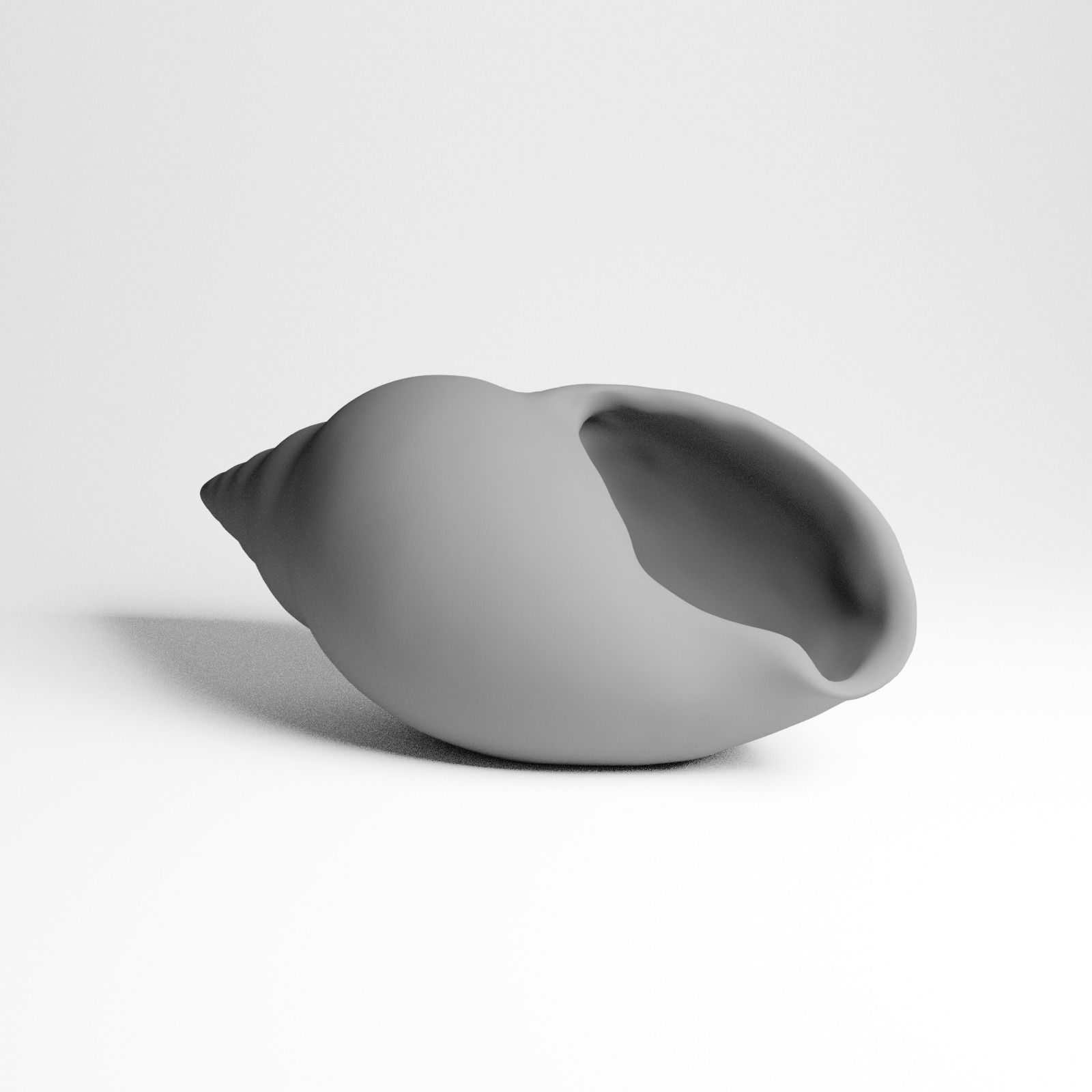 Seashell from Mozambique 3d Scan 3D model_3