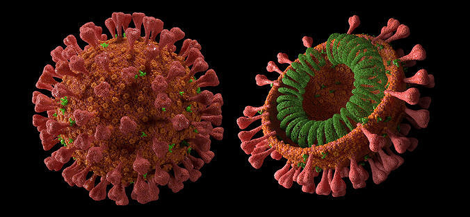 Corona virus COVID-19 3D model