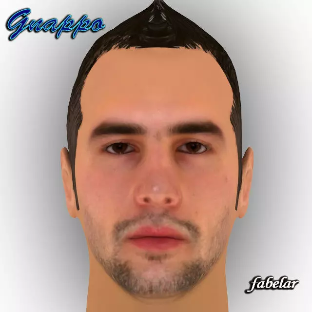 Gnappo 3D model_0