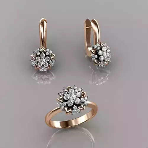 Ring and Earrings 37